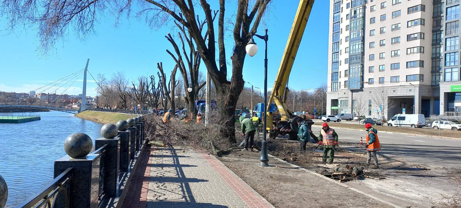 Кронують дерева на Основі комунальники Харкова